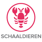 allergenen schaaldieren