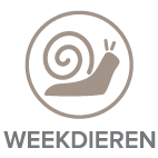 allergenen weekdieren